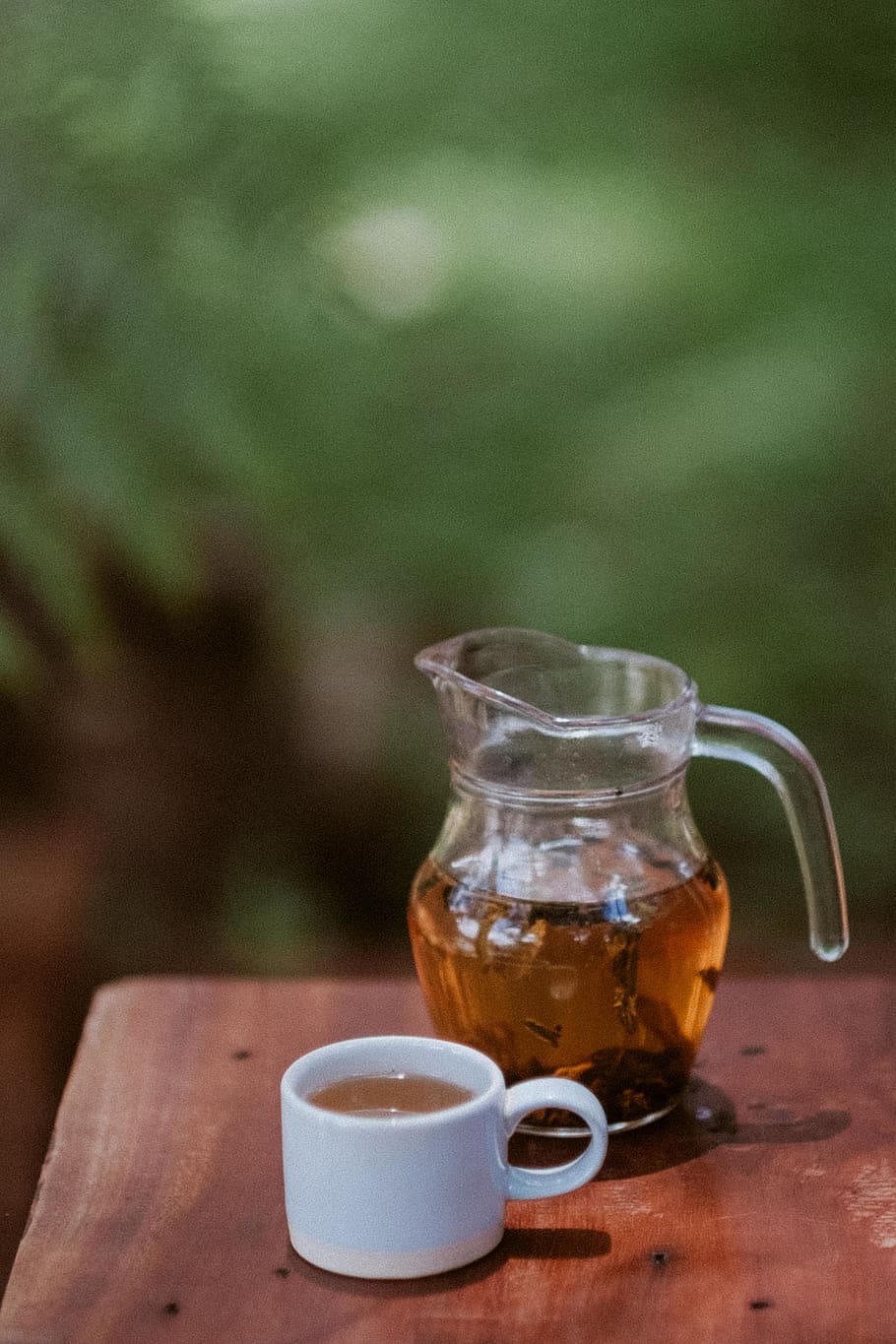 tea, cup, wood, forest, drink, refreshment, mug, food and drink HD wallpaper