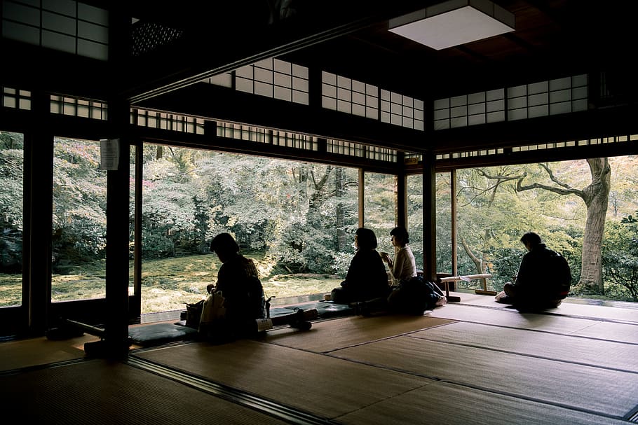 Silhouette of People on Room, daylight, indoors, trees, wear HD wallpaper