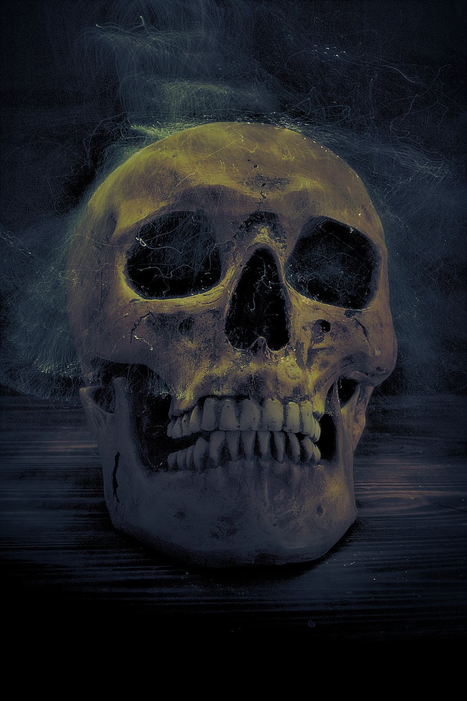 skull, spirit, mystical, weird, surreal, horror, creepy, fantasy, HD wallpaper