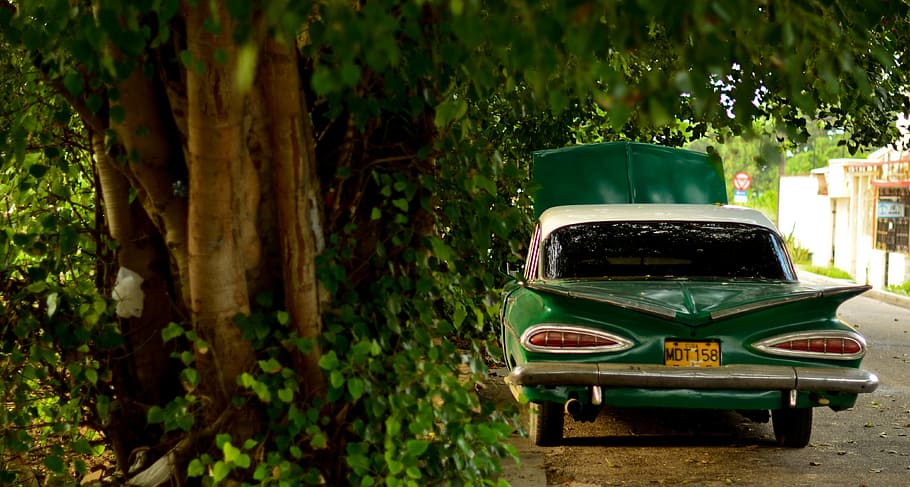 model, old, car, comfort, street, mode of transportation, plant HD wallpaper