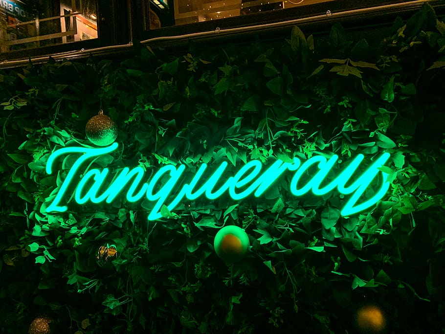 gin, alcohol, tanqueray, beverage, text, communication, western script, HD wallpaper