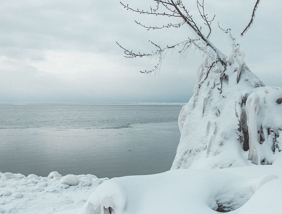 canada, goderich, ocean, tree, frozen, water, snow, ice, winter HD wallpaper
