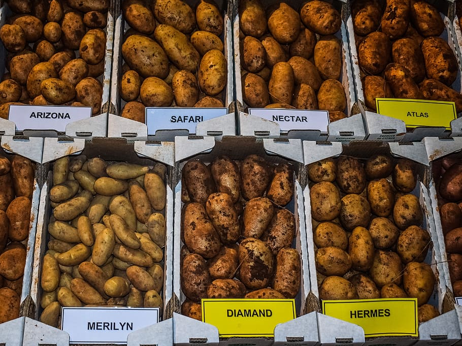 potatoes, variety, vegetable, varieties, different, market HD wallpaper