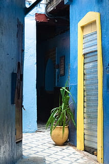 home decor, window, curtain, shutter, fez, medina, morocco HD wallpaper