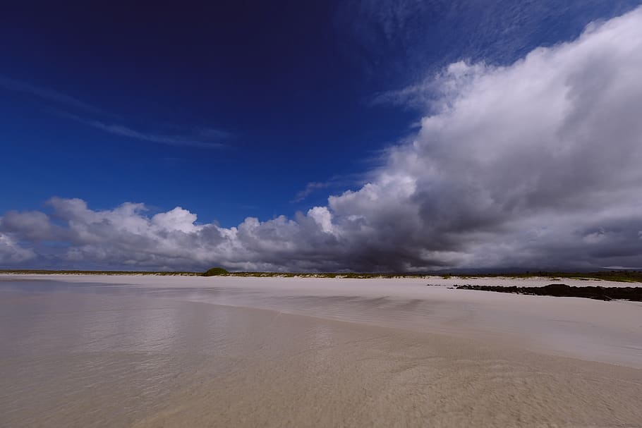 Seashore, beach, clouds, ocean, sand, seascape, sky, cloud - sky HD wallpaper