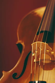 side-view, violin, bow, string, instrument, music, sound, listen HD wallpaper