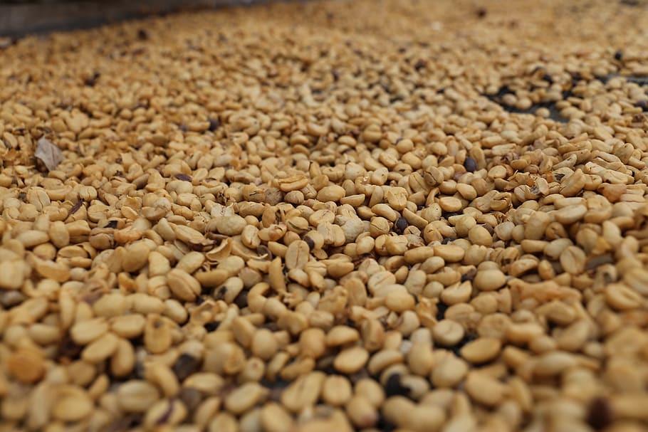raw, coffee, beans, coffee beans, cafe, food, drink, uncooked HD wallpaper
