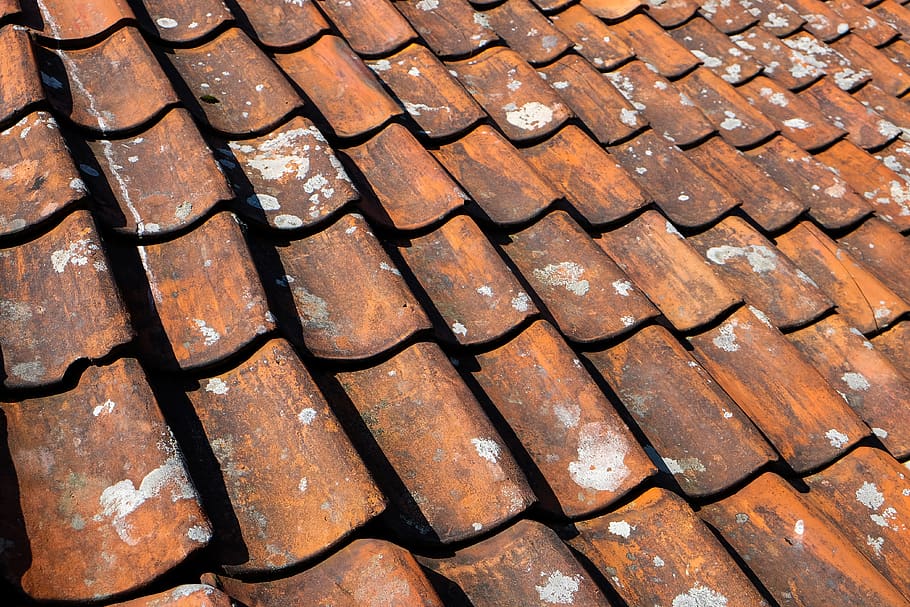 old, team, brown, orange, building, tile, roof, full frame HD wallpaper