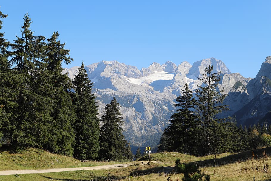 mountain, summit, panorama, tree, beauty in nature, plant, scenics - nature HD wallpaper