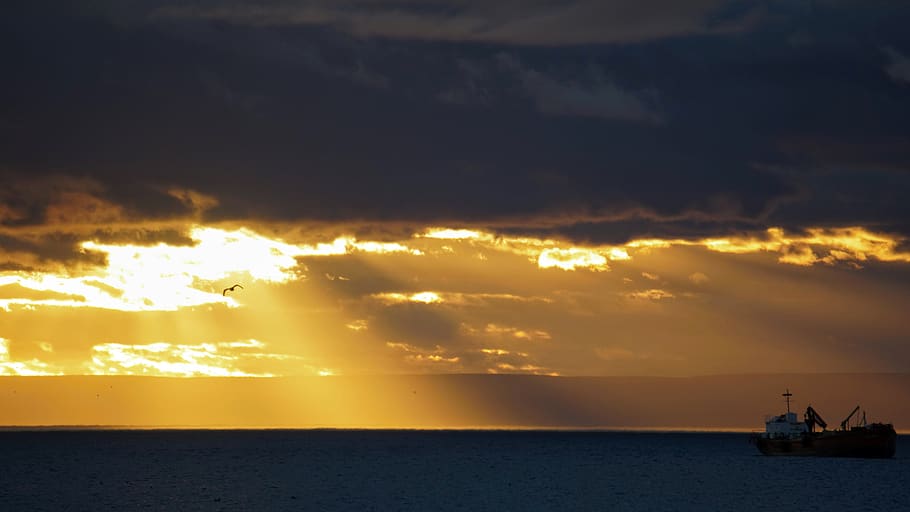 chile, punta arenas, seagull, rays, sunrise, ships, sunlight HD wallpaper