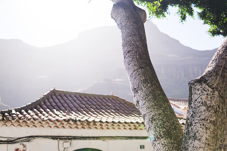 spain, gran canaria, tree, town, mountain, sun, architecture HD wallpaper