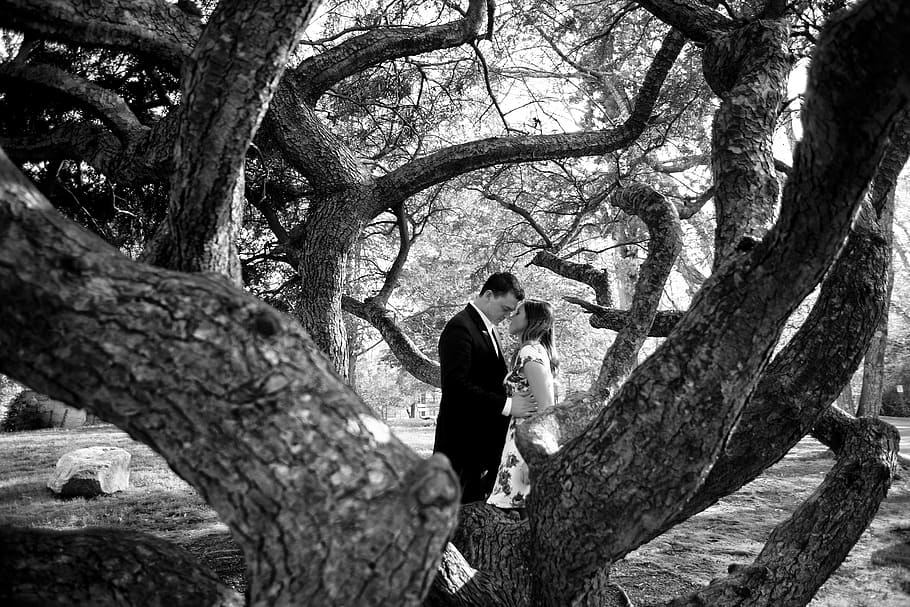tree, love, tree trunk, plant, real people, leisure activity HD wallpaper
