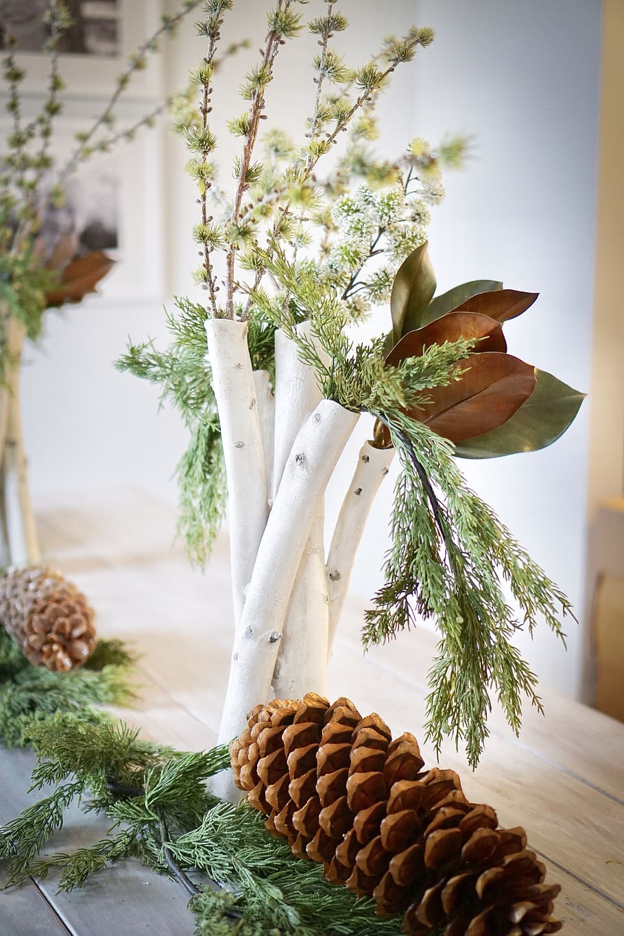 brown pinecone, plant, vase, tree, pottery, potted plant, jar HD wallpaper