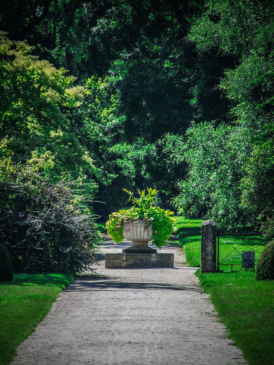 park, castle, architecture, historically, plant, tree, growth HD wallpaper