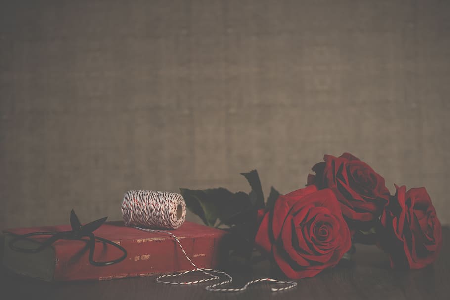 Three Red Roses Near Red Box, background, close-up, colors, design HD wallpaper