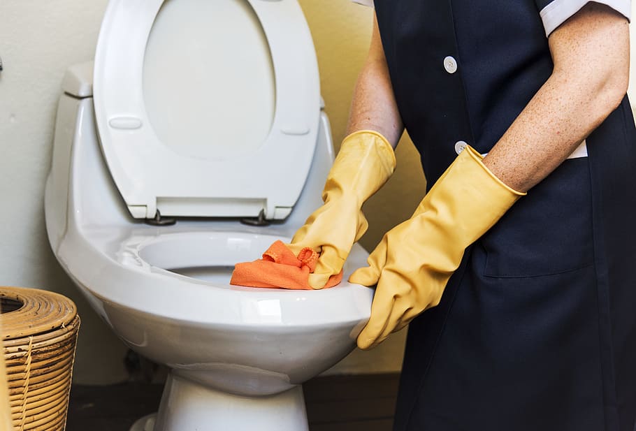 Person Cleaning Flush Toilet, adult, bathroom, bowl, chambermaid