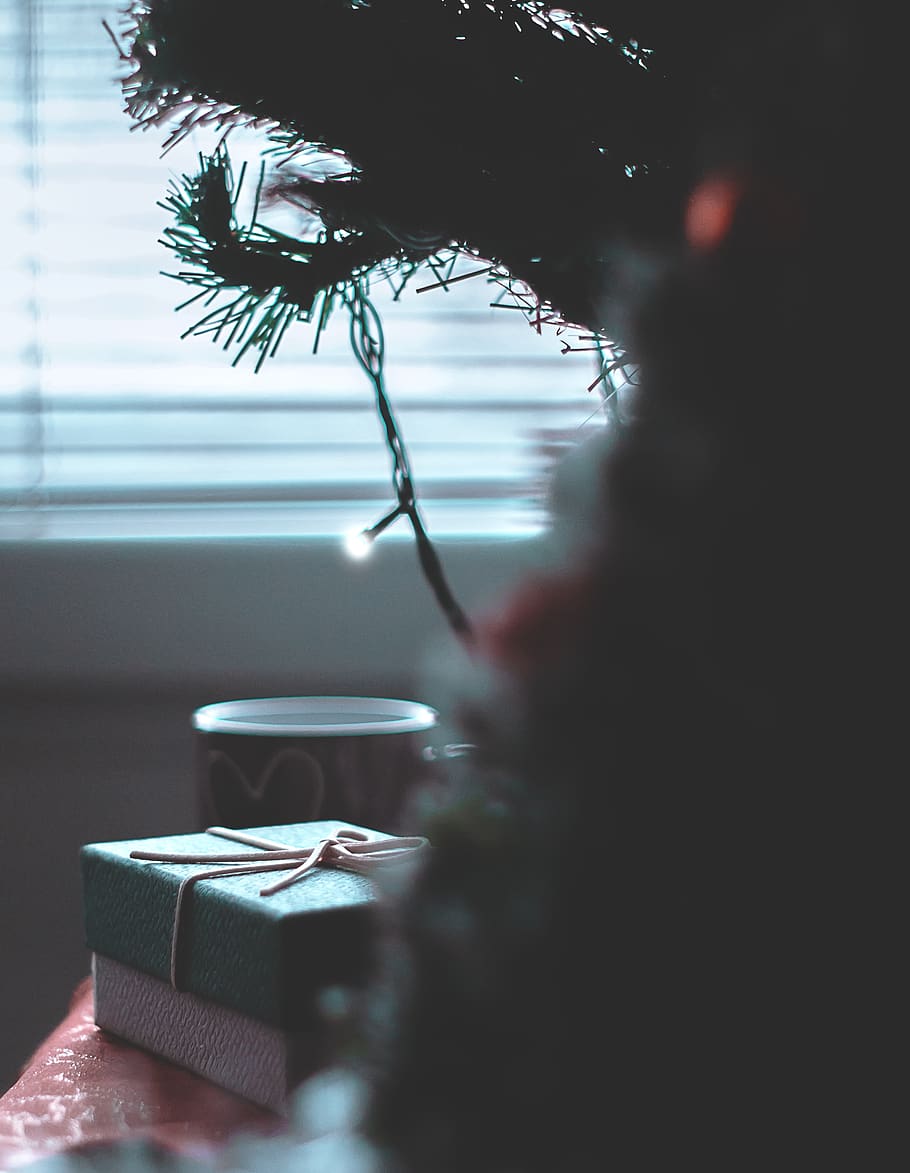 string lights on Christmas tree, gift, pine, caffe, xma, indoors HD wallpaper