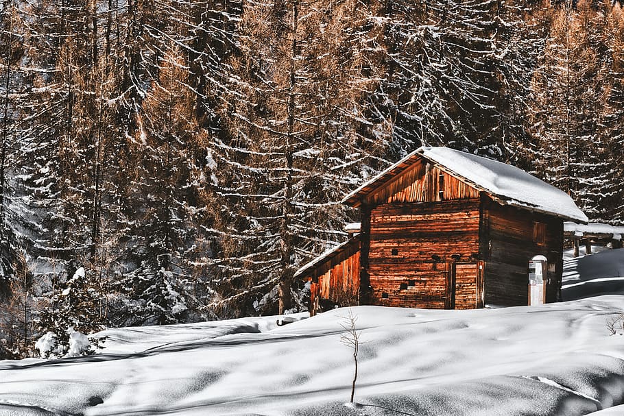 Brown Wooden Cabin In Snowy Landscape Near Forest, barn, chalet HD wallpaper