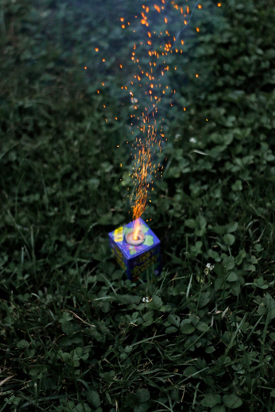 lighted fireworks, burning, flame, nature, plant, glowing, land HD wallpaper