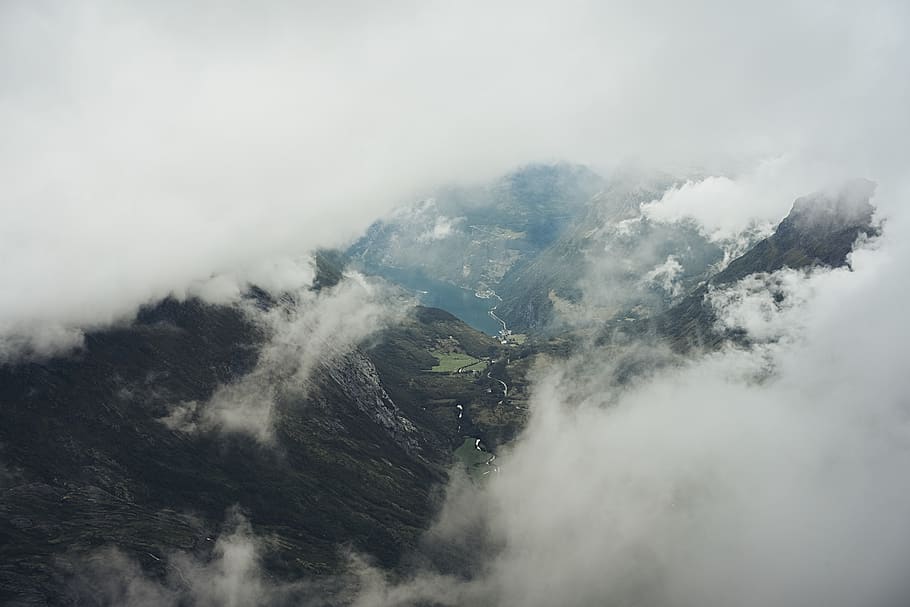 foggy mountain and trees, scenics - nature, beauty in nature HD wallpaper