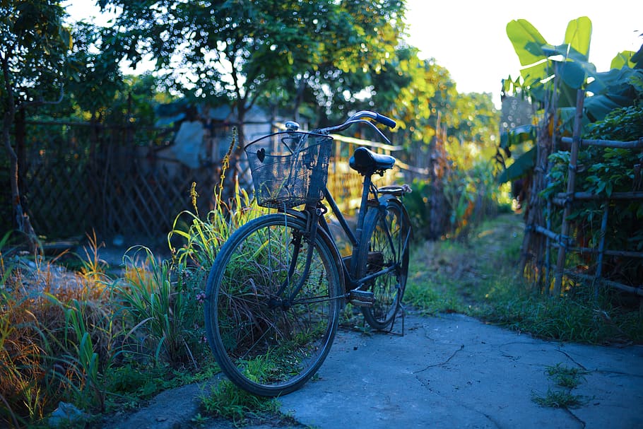bicycle, transportation, land vehicle, mode of transportation HD wallpaper