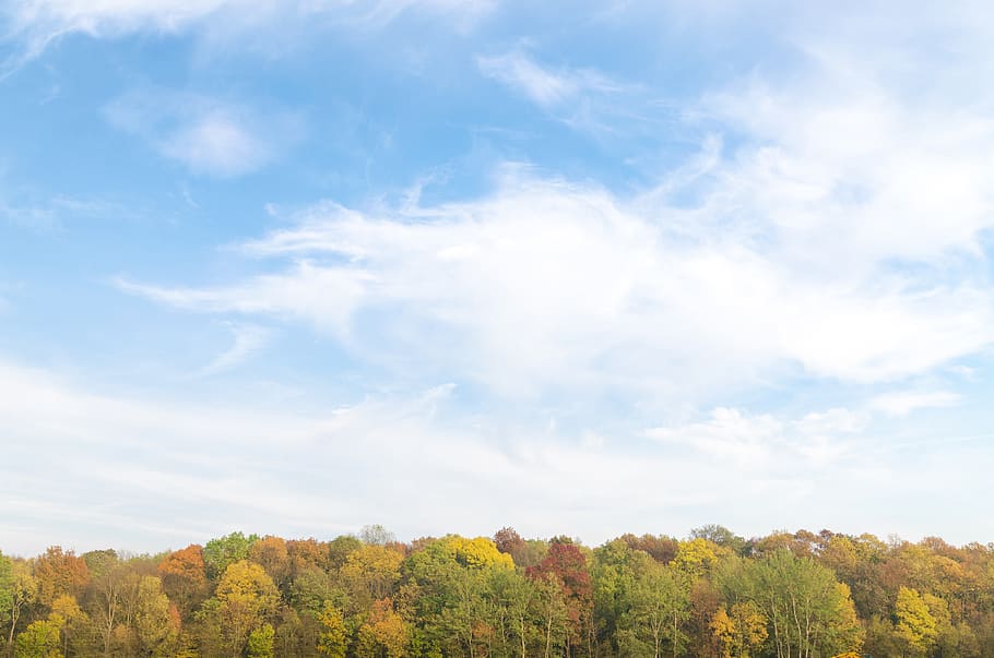 Panoramic Photography of Sky and Forest, background, beautiful HD wallpaper