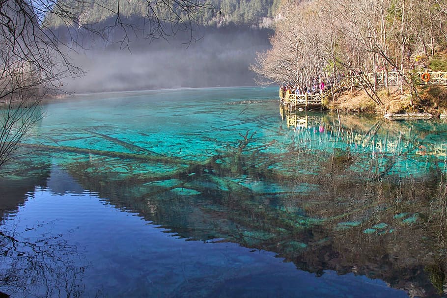 china, aba, jiuzhaigou, water, tree, plant, tranquility, reflection HD wallpaper