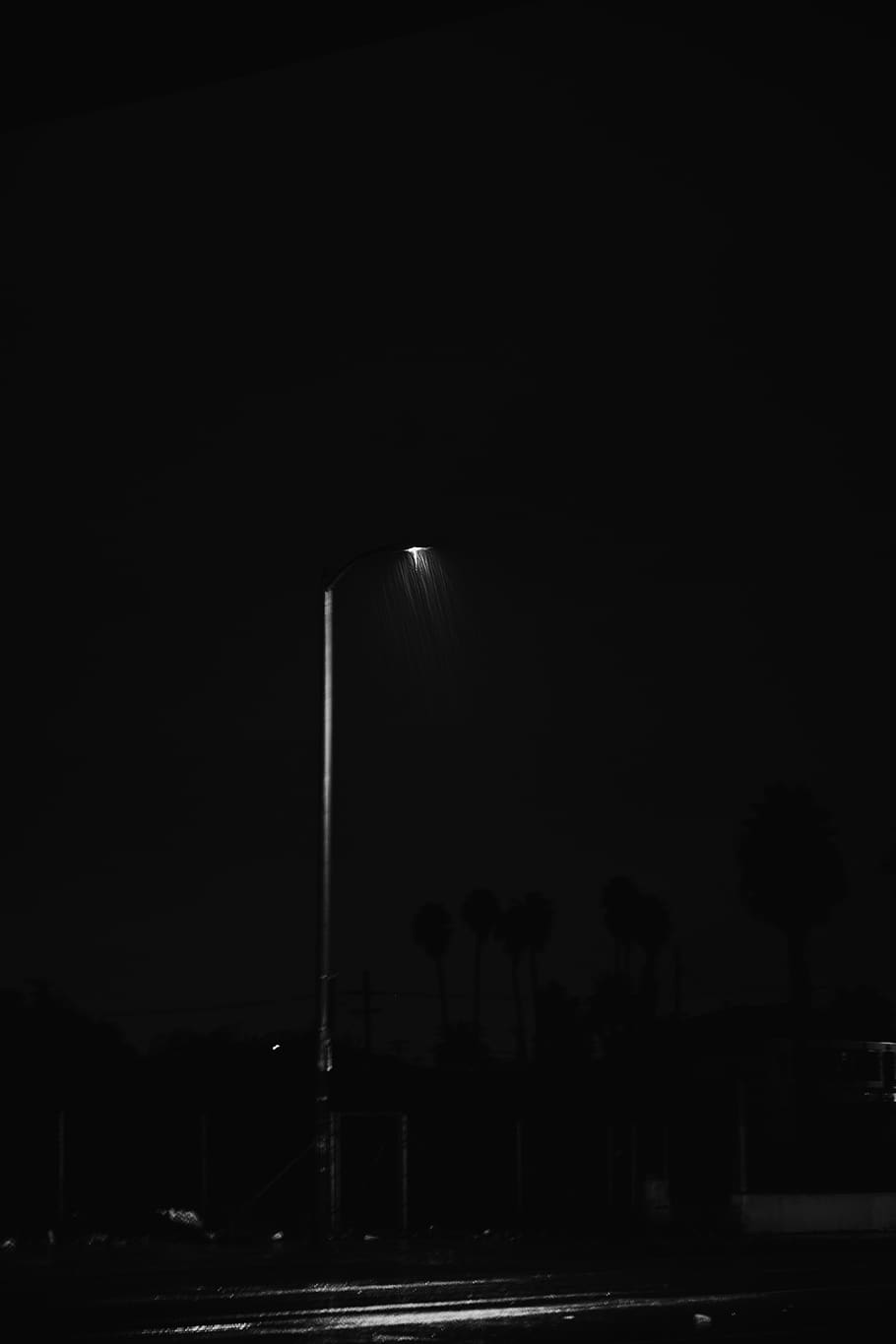 black street light, lamp post, lighting, nature, los angeles, HD wallpaper