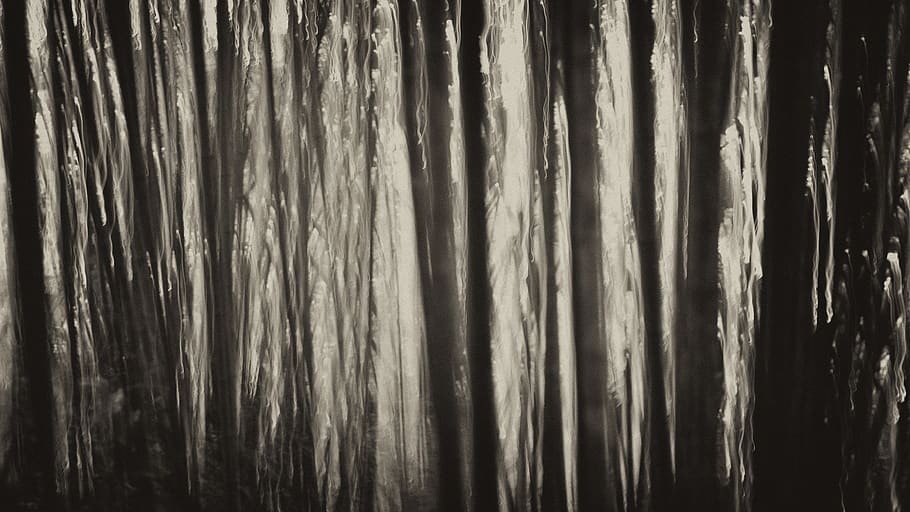 ecuador, forest, bamboo, abstract, nature, pattern, full frame HD wallpaper