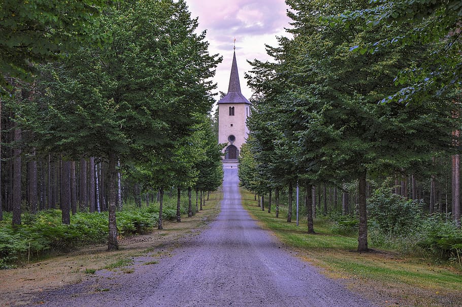 Cathedral With Tress Along the Street, building, church, daylight HD wallpaper