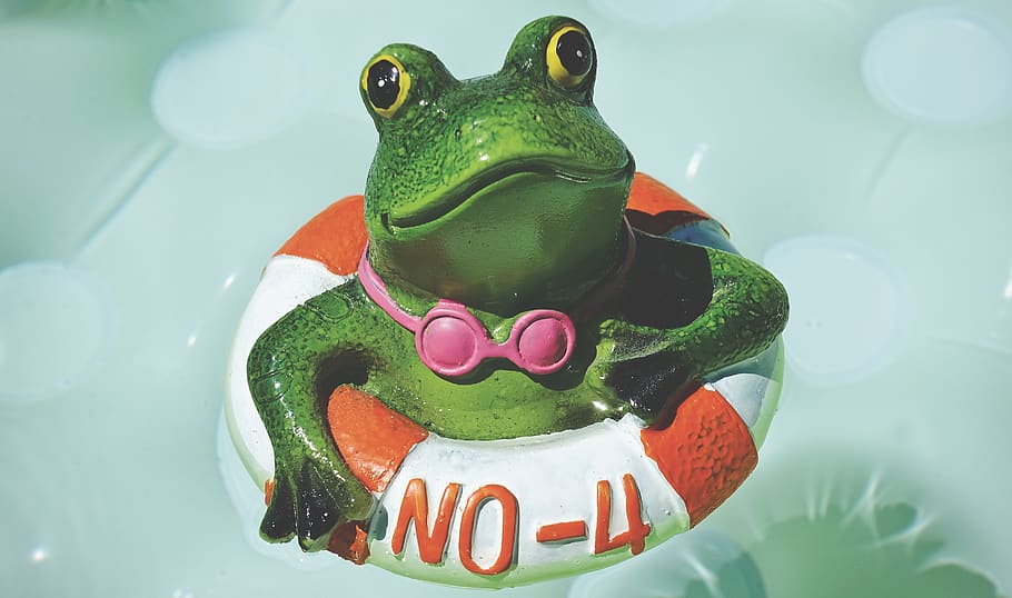 frog, figure, swim, summer, funny, cute, swimming ring, lifebelt HD wallpaper
