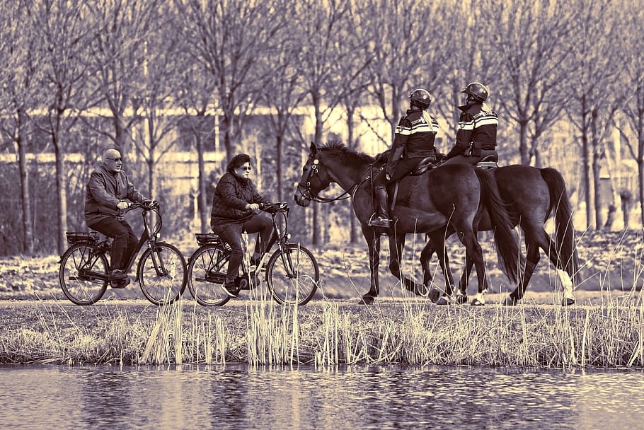 persons, people, police, mounted police, cyclist, bicycle, horse