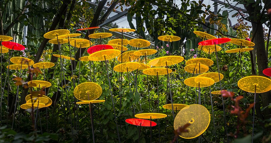 acrylic discs, yellow, orange, garden design, trauttmansdorff castle