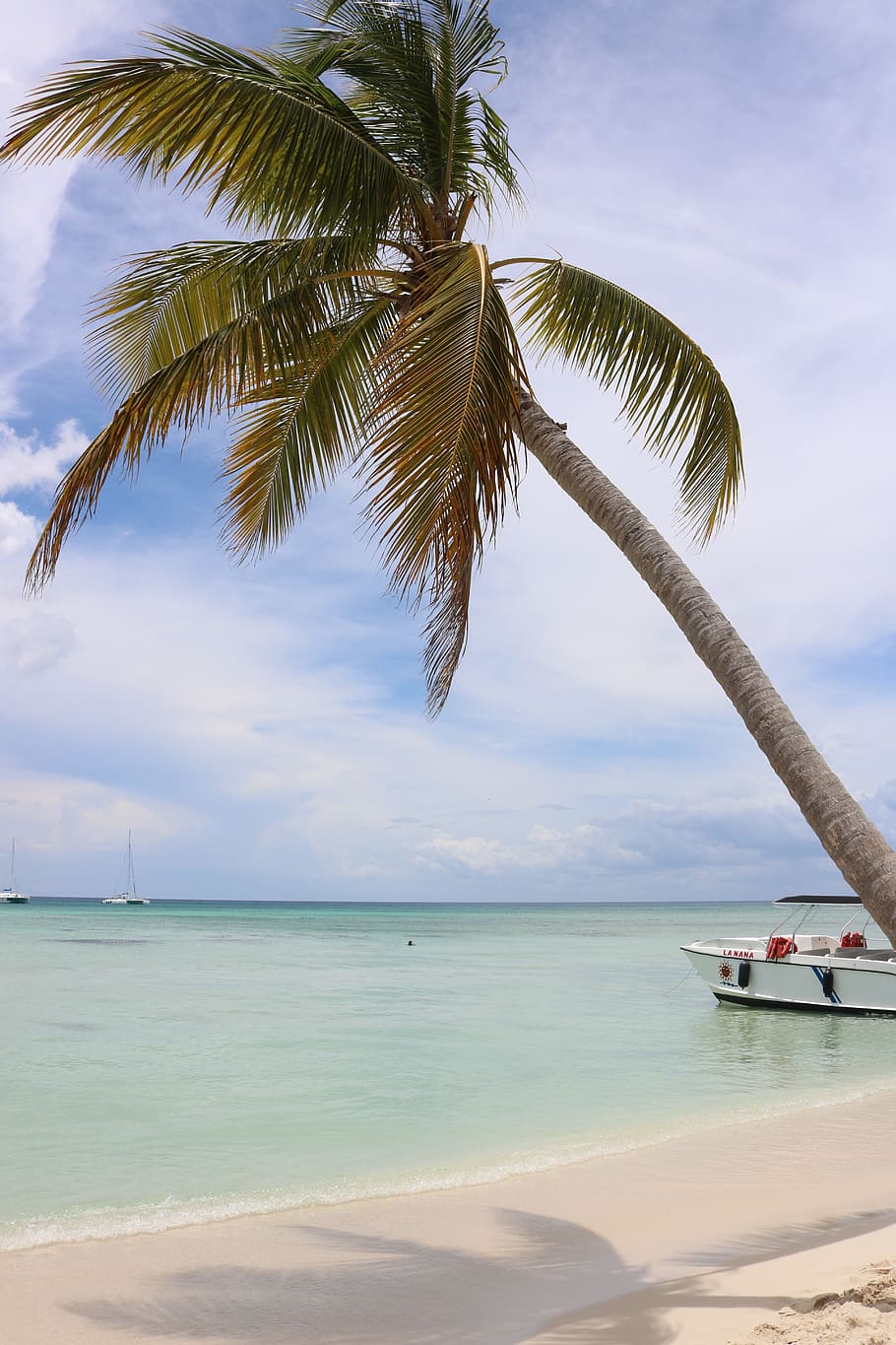 dominican republic, saona island, blue, turquoise, yellow, palm, HD wallpaper