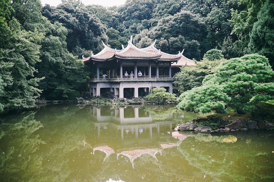 japan, tokyo, temple, water, built structure, architecture HD wallpaper