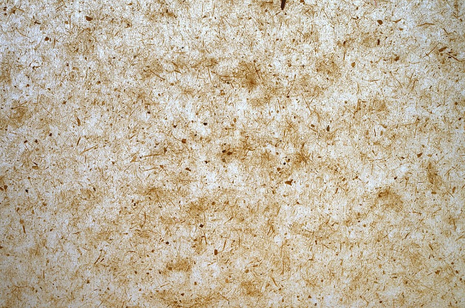 paper, background, structure, parchment, transparent, fibers HD wallpaper