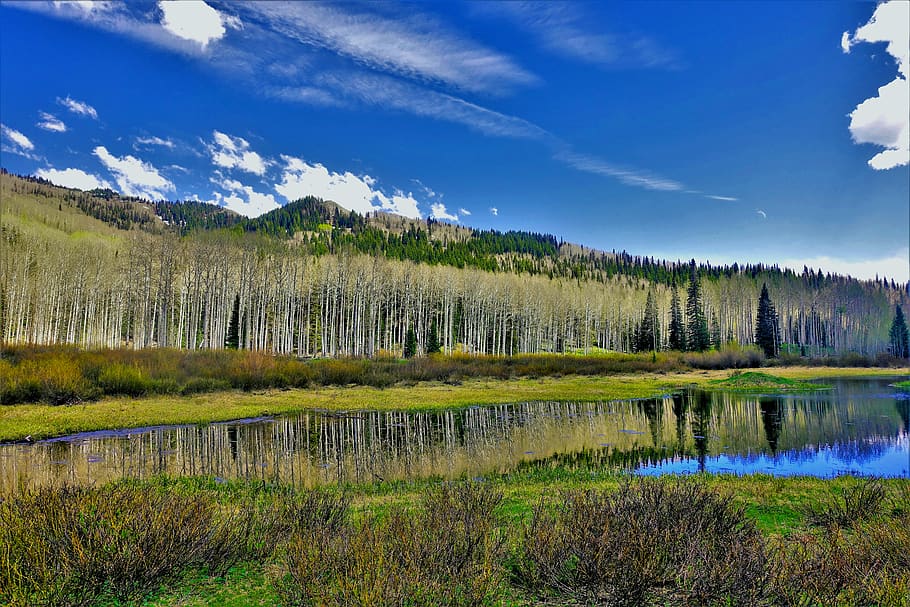 alpine lake, utah, high elevation, landscape, aspen forest HD wallpaper