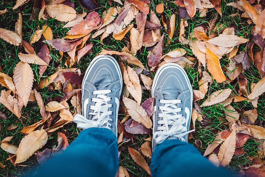person standing on dried leaves outdoors, shoe, leaf, ground HD wallpaper