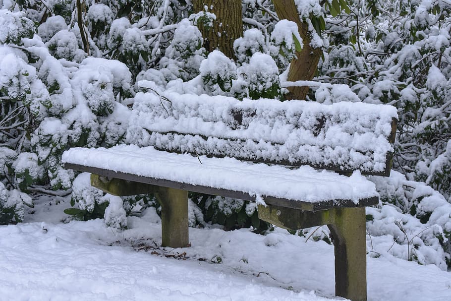 bank, snow, cold, winter, snowy, forest, frost, snowed, sit HD wallpaper