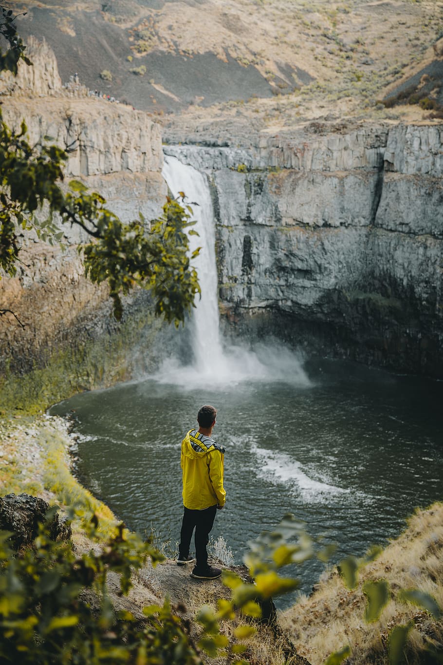 person standing near waterfall during daytime, cliff, tree, looking out
