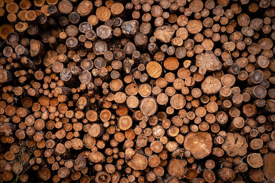 pile of wood, holzstapel, tree trunks, firewood, stack, storage, HD wallpaper