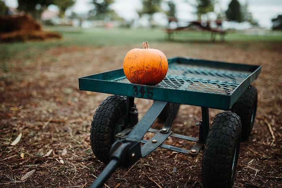 orange pumpkin on green metal trailer, wagon, fall, pumpkin patch HD wallpaper