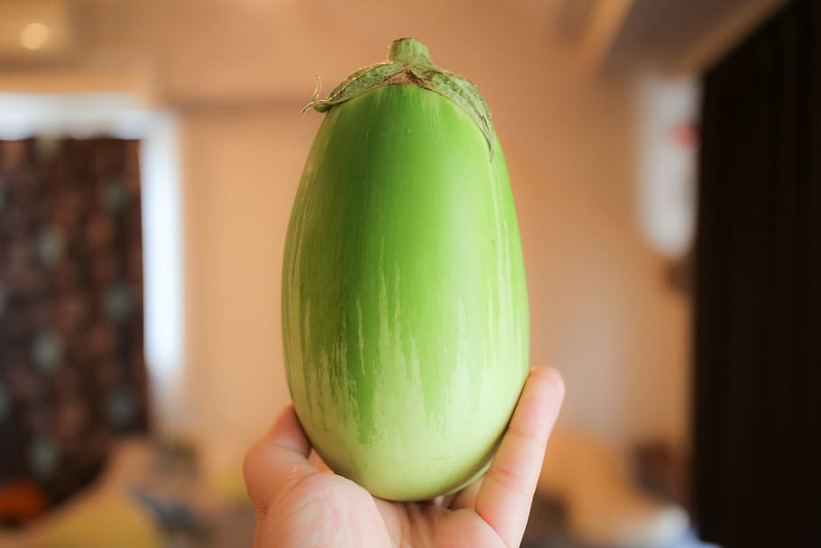 japan, eggplant, vegetable, food and drink, human hand, healthy eating HD wallpaper