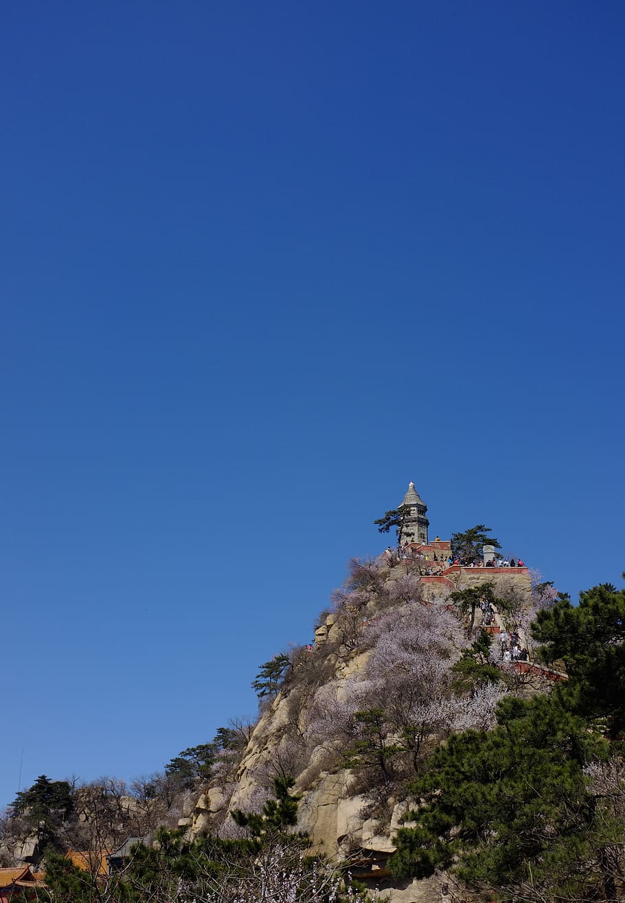 winding, hebei, the suburb, sky, copy space, clear sky, plant, HD wallpaper