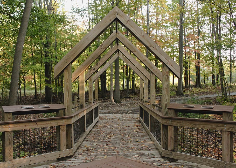 woods, archway, structure, lines, trees, plant, architecture HD wallpaper