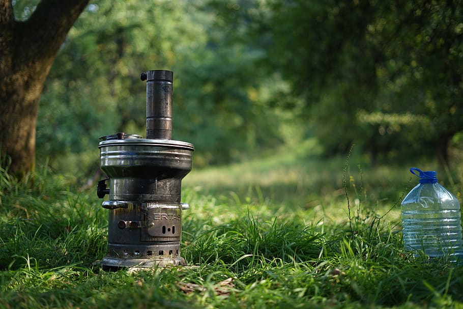grass, plant, hydrant, fire hydrant, animal, bird, barrel, appliance HD wallpaper