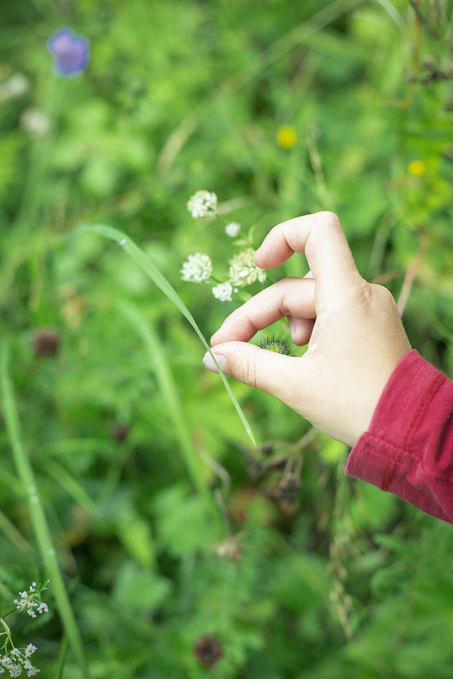 nature, space, boy, child, childhood, concept, curious, expedtion HD wallpaper