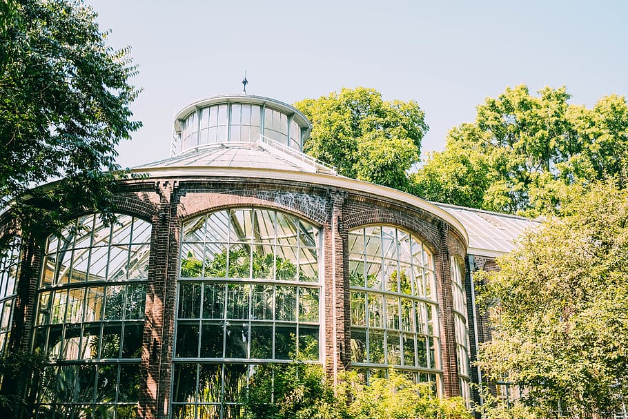 glass dome surrounded with trees, plant, architecture, built structure HD wallpaper