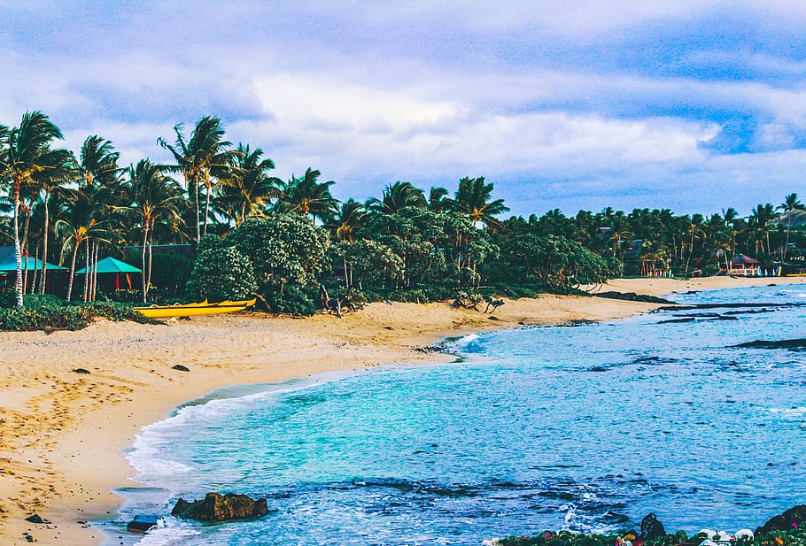 palm trees, beach, sunset, sand, hawaii, tropical climate, land HD wallpaper