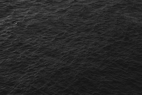 ocean water, nature, outdoors, sea, texture, oil spill, animal HD wallpaper